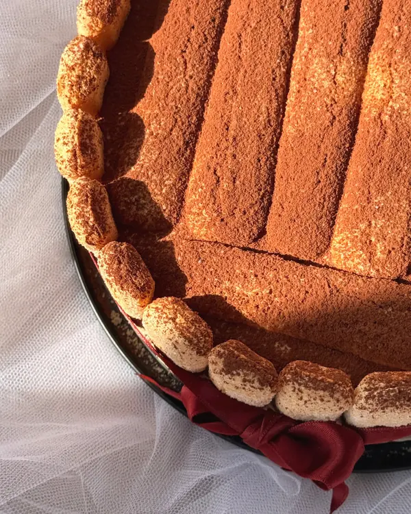 Detalle de tarta de bizcochos con cacao